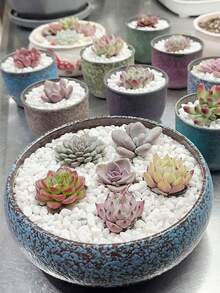 1pc 100/300/500/800g White Pebble Stone For Potted Plants, Succulents, Greenery, Garden, Balcony, Paving, Christmas Tree, Snow-Like Decorative Stone - Multicolor - View 9