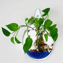 1 Buah Pot Bunga Tanaman Pothos Hijau Hidroponik Kreatif yang Dipasang di Dinding, Wadah Dekoratif Bulat, Stiker Dinding Vas dengan Label - A - View 5