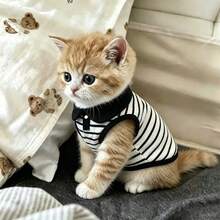 1PC Pet Striped Polo Shirt Cute, Casual, Comfortable, Breathable Cat/Dog Vest Pet Clothing - Black and White - View 11