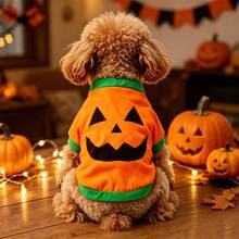 1pc Halloween Pumpkin Head New Style Dog Clothes T-Shirt With Sleeves, Breathable And Comfortable - Orange - View 3