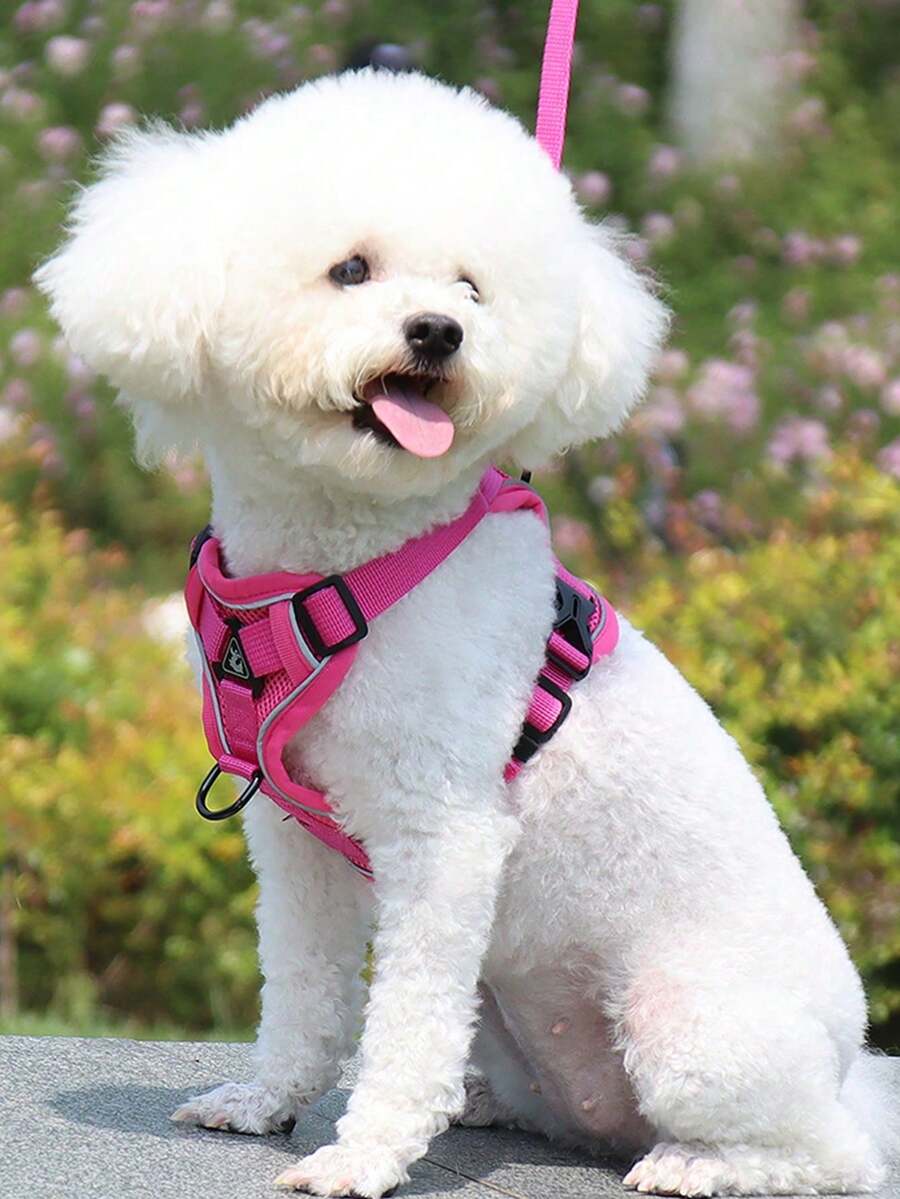 Reflective Pet Harness And Leash Set, For Dogs And Cats, Secure Fit Adjustable Puppy Vest, Soft Mesh Material - Hot Pink - View 1