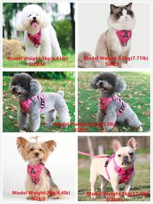 Reflective Pet Harness And Leash Set, For Dogs And Cats, Secure Fit Adjustable Puppy Vest, Soft Mesh Material - Hot Pink - View 5