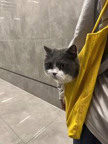 Little Bee Cartoon Embroidered Pet Shoulder Bag, Breathable Visible Window Canvas Portable Cat Travel Tote Bag - Multicolor - View 10
