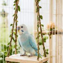 1pc Wooden Bird Swing Perch With Leaf Decoration, Hanging Platform Toy For Parrots, Small Parrots And Small Birds, Woven Rope Interactive Swing, Smooth Wooden Seat, Bird Cage Accessory, Suitable For Daily Play And Rest, Colorful Pet Bird Entertainment Supplies - View 4