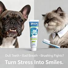 PC Petclear Dual-Action Pet Toothpaste, Universal Oral Care For Cats And Dogs. Dual-Action Formula For Cleaning And Tooth Protection, Deeply Cleans Tooth Surface Dirt, Reduces Plaque Buildup, Long-Lasting Fresh Breath, Improves Oral Odor, Suitable For Daily Pet Tooth Cleaning And Maintenance. - Baby Blue - View 4