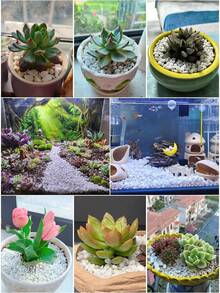 1pc 100/300/500/800g White Pebble Stone For Potted Plants, Succulents, Greenery, Garden, Balcony, Paving, Christmas Tree, Snow-Like Decorative Stone - Multicolor - View 7