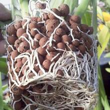 Expanded Clay Pebbles LECA Balls, Breathable Clay Rock Substrate For Hydroponics, Orchids, Houseplants Gardening & Drainage Layer - A - View 3