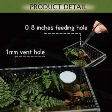 Acrylic Terrarium For Reptiles And Spiders, Small/Medium/Large Leak-Proof Breeding Box (Horizontal/Vertical), Suitable For Tarantulas, Jumping Spiders, Frogs And Geckos (Small, Horizontal) - Clear - View 3