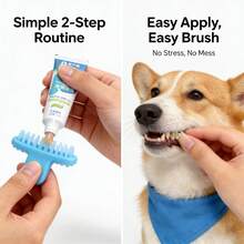 PC Petclear Dual-Action Pet Toothpaste, Universal Oral Care For Cats And Dogs. Dual-Action Formula For Cleaning And Tooth Protection, Deeply Cleans Tooth Surface Dirt, Reduces Plaque Buildup, Long-Lasting Fresh Breath, Improves Oral Odor, Suitable For Daily Pet Tooth Cleaning And Maintenance. - Baby Blue - View 6