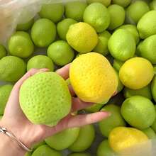1pc New Color-Changing Lemon Building Block Handmade Ball - ASMR Sensory Stress Relief Toy Building Block Sound Control - Stress Relief Squeaky Handmade Ball - TPR Material - Emotional Healing Toy Emotional Venting Toy Squeeze Toy - Multicolor - View 4