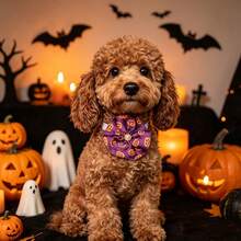 10 Pcs Color In Random Halloween Dog Collar Flowers Bulk, Pumpkin Ghost Skull Cat Accessories - Multicolor - View 4