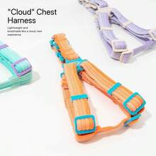 Dog Harness – , Non-Choking, Anti-Slip, Perfect Fit, Easy To Put On And Take Off, Adjustable, Reflective Stitching Dog Leash P-Chain Anti-Pull Dog Chain Cloud Bubble Foam Handle Contrast Color Pet Walking Rope Dog Leash P-Chain Anti-Pull Dog Chain Cloud Bubble Foam Handle Contrast Color Pet Walking Rope - Multiple Styles - View 2