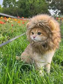 1PC Lion Mane Cat Costume Accessory - Polyester Pet Wig With Ears, Suitable For Kittens, Puppies Dress Up, Role Play And Photography - Comfortable, Cute, Durable, With Fluffy Ears And Pointed Hat - Perfect For Dress Up And Theme Parties, Parties And Events, Holiday Accessories | Fun Accessory | Soft Texture Hat, Halloween - Multicolor - View 6