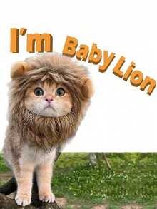 1PC Lion Mane Cat Costume Accessory - Polyester Pet Wig With Ears, Suitable For Kittens, Puppies Dress Up, Role Play And Photography - Comfortable, Cute, Durable, With Fluffy Ears And Pointed Hat - Perfect For Dress Up And Theme Parties, Parties And Events, Holiday Accessories | Fun Accessory | Soft Texture Hat, Halloween - Multicolor - View 3