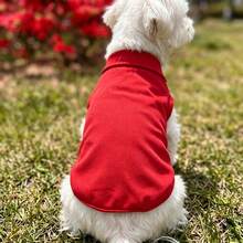 Red Pet Polo Shirt, Breathable Pearl Fabric, Suitable For Poodle And Bichon Frise, Soft And Comfortable, Suitable For Spring, Summer, Autumn Outdoor Or Beach Wear - Multicolor - View 4