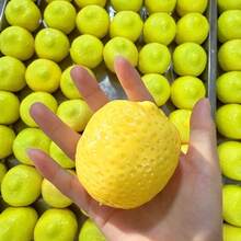 1pc New Color-Changing Lemon Building Block Handmade Ball - ASMR Sensory Stress Relief Toy Building Block Sound Control - Stress Relief Squeaky Handmade Ball - TPR Material - Emotional Healing Toy Emotional Venting Toy Squeeze Toy - Multicolor - View 2