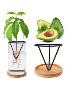 Hydroponic Seed Germination Pot, Transparent Cone-Shaped Seed Germination Container, Suitable For Avocado And Other Seedlings, Lightweight Classic Hanging Pot, Suitable For Indoor And Outdoor Gardening, Suitable For Beginners And Enthusiasts - Multicolor - View 1