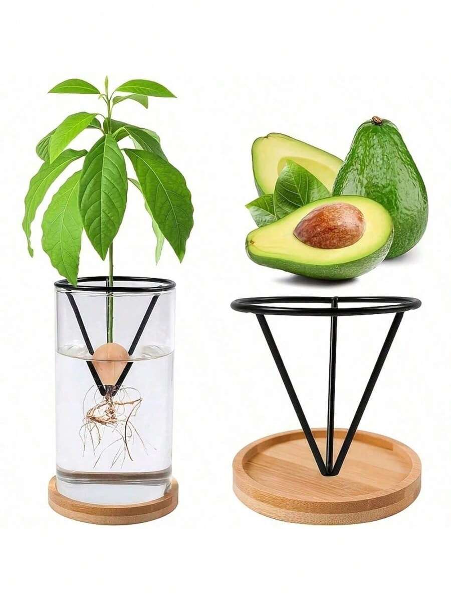Hydroponic Seed Germination Pot, Transparent Cone-Shaped Seed Germination Container, Suitable For Avocado And Other Seedlings, Lightweight Classic Hanging Pot, Suitable For Indoor And Outdoor Gardening, Suitable For Beginners And Enthusiasts - Multicolor - View 1