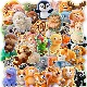 50 PCS