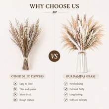 60-Piece DIY Dried Flower Bouquet With Reed Flowers, Boho Decor For Living Room, Bedroom, And Vases - 60Pcs - View 3