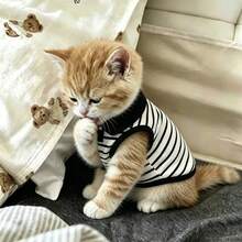 1PC Pet Striped Polo Shirt Cute, Casual, Comfortable, Breathable Cat/Dog Vest Pet Clothing - Black and White - View 5