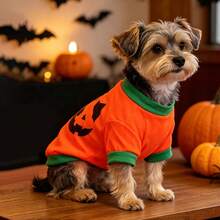 1pc Halloween Pumpkin Head New Style Dog Clothes T-Shirt With Sleeves, Breathable And Comfortable - Orange - View 8