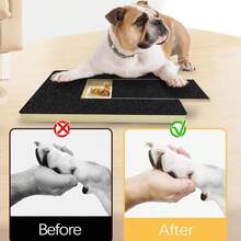 2pcs Reusable Cat & Dog Scratching Board With Replacement Sandpaper Nail Grinder - Black - View 5