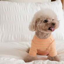 Pet Autumn/Winter Four-Legged Undershirt Dog Clothes Cute Belly-Covering Outfit For Bichon Teddy - Orange - View 3
