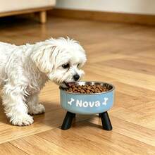 [Customizable] Elevated Pet Bowl, Suitable For Small Dogs, Universal Stainless Steel Feeding Bowl For Cats And Dogs, Non-Slip Design, Customizable Text, Multiple Styles Available - Multicolor - View 5