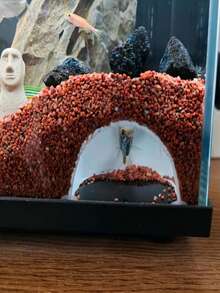 1件裝水族箱拱形洞穴裝飾，魚類躲藏屋飾品，小型熱帶魚休息與繁殖魚缸裝飾，適用於孔雀魚、燈魚、鬥魚小型混養魚缸 - 歡樂水族 - 查看 4