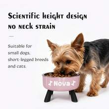 [Customizable] Elevated Pet Bowl With Neck Protection – Suitable For Small Dogs – Stainless Steel Bowl For Cats And Dogs – Non-Slip Feeding Bowl – Customizable Text Personalization – Multiple Designs Available - Multicolor - View 6
