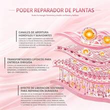 Gel Íntimo Antibacteriano para Mujer, Equilibra la Microecología, Cuidado Suave de la Zona Íntima,Fórmula ligeramente ácida, con prebióticos, extractos vegetales, cuidado diario para zona íntima - Ver 10