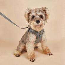 Premium Anti-Pull Dog Harness And Leash Set, Thickened Inner Lining Vest-Style Harness, Dual D-Ring Metal Buckle, Adjustable Webbing Dog Walking Set, Suitable For Small Dogs - Grey - View 7