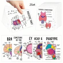 36/72pcs Human Anatomy Quick Reference Cards - Comprehensive Study Guide For Medical Professionals, Anatomy & Physiology Flashcards - Anatomy Learning Guide Reference Cards, For Exam Preparation And Visual Learning - 36Pcs - View 10