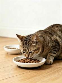 Non-Slip Ceramic Pet Bowl, Anti-Spill Cat Food Bowl Dog Water Dish, With Rubber Bottom - 500ml - View 3