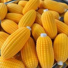 BEERUS 2 buah Mainan Balok Jagung Renyah, Tidak Memantul, Suara Renyah Saat Diremas, Termasuk Balok Tanah Liat, Kombinasi Tekstur Keras dan Lembut, Mainan Buatan Tangan, Mainan Remas Renyah/Pereda Stres/Mainan Kelas 1 buah - MultiWarna - View 5