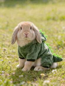 1pc Dinosaur Pattern Vest, Cute Dinosaur Design Spring/Autumn Warm Sweatshirt, Rabbit Pet Accessories, Rabbit Pet Supplies, Rabbit, Rabbit Pet Accessories, Rabbit Pet Supplies, Valentine's Day - Multicolor - View 3