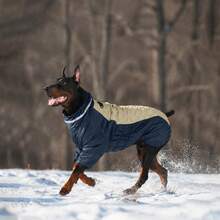 Dog Winter Warm Jacket, Windproof Dog Coat, Reflective High Collar Dog Winter Jacket Snowproof, Full Wool Coat, Suitable For Small, Medium, Large Pets - Multicolor - View 3