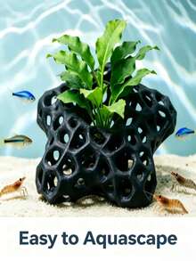 1件魚缸躲藏洞穴 多孔魚蝦庇護所 水草種植底座裝飾 適用於鬥魚、慈鯛、黑殼蝦 淡水魚缸裝飾 適合魚蝦繁殖、躲藏與休息 - 歡樂水族 - 查看 1