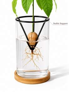 2/1pc Avocado Seed Growing Rack, Triangular Metal Plant Sprouting Stand, Glass Jar Seed Starter Rack, Reusable Avocado Pit Growth Support, Indoor Hydroponic Plant Propagation Accessory, Home Desktop Decor Seed Hanging Stand - Multicolor - View 6