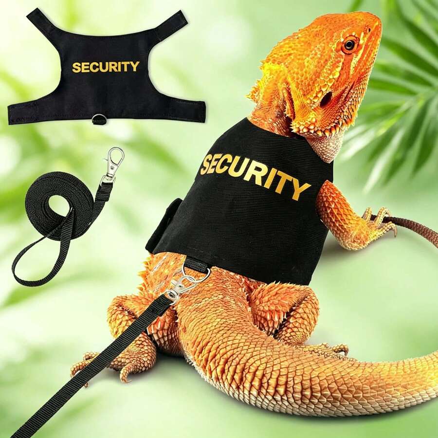 Set 2 buah (Harness + Tali) Tali Penuntun Kadal Reptil, Harness Dada Kadal untuk Aktivitas Luar Ruangan, Tali Penuntun Bunglon dan Tupai untuk Aktivitas Luar Ruangan, Pakaian Anti-Lepas - MultiWarna - View 1