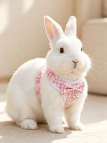 1pc Small Pet Leash & Harness Set, Fresh Mesh Plaid Bow Evening Dress Style Vest Harness For Rabbit, Guinea Pig, Small Pets, Adjustable Rabbit Harness, Cute Rabbit Harness, Small Animal Collar And Leash, Harness With Leash, Adjustable Leash, Suitable For Rabbit, Ferret, Lizard, Guinea Pig, Hamster And Other Small Animals, Rabbit Pet Supplies, Rabbit Supplies, Hamster Supplies, Rabbit Leash, Rabbit Harness, Lop Ear Rabbit Supplies - Multicolor - View 7
