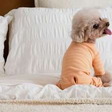 Pet Autumn/Winter Four-Legged Undershirt Dog Clothes Cute Belly-Covering Outfit For Bichon Teddy - Orange - View 4