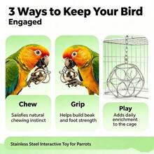 Mainan Burung, Mainan Burung Beo untuk Burung Besar, Mainan Burung Baja Tahan Karat Berkualitas Tinggi untuk Burung Beo Ukuran Besar dan Sedang - Bola Pengumpan Anti Gigit dengan Lonceng untuk Burung Beo Abu-abu Afrika, Macaw, Kakaktua, Beo, dan Burung Beo Kecil dan Sedang Lainnya - View 7