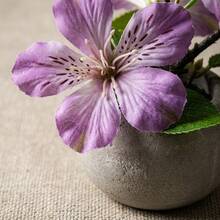1pc Premium Artificial Clematis Bonsai, Faux Flower Decor, Suitable For Home Bedroom, Aromatherapy Tabletop Arrangement, Living Room Office, Coffee Table Desktop Decoration Display (With Pot) - Mauve Purple - View 4