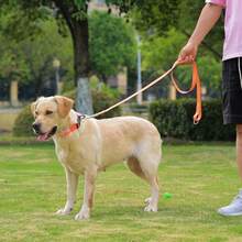 1PC PVC Pet Collar, Adjustable Size, Macaron Color Series, Quick Release Buckle, Easy To Clean Rubber Material, Comfortable And Versatile, Anti-Tear, Suitable For Small, Medium, Large Dogs, Daily Wear And Outdoor Adventure - Multicolor - View 6