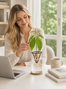 2/1pc Avocado Seed Growing Rack, Triangular Metal Plant Sprouting Stand, Glass Jar Seed Starter Rack, Reusable Avocado Pit Growth Support, Indoor Hydroponic Plant Propagation Accessory, Home Desktop Decor Seed Hanging Stand - Multicolor - View 5