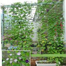 High-Quality Nylon Garden Net, Suitable For Luffa, Morning Glory, Vine Plants, Climbing Plants, Cucumber Vines, Etc., Can Be Used As Planting Support - Green - View 6