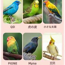 Bird Cages - one-size - View 6