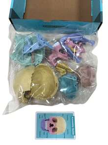Human Skull Anatomy Model, 17-Piece Detachable Colored Skull Assembly Model With Knowledge Cards, Children's Science Education Learning Toy - Multicolor - View 10